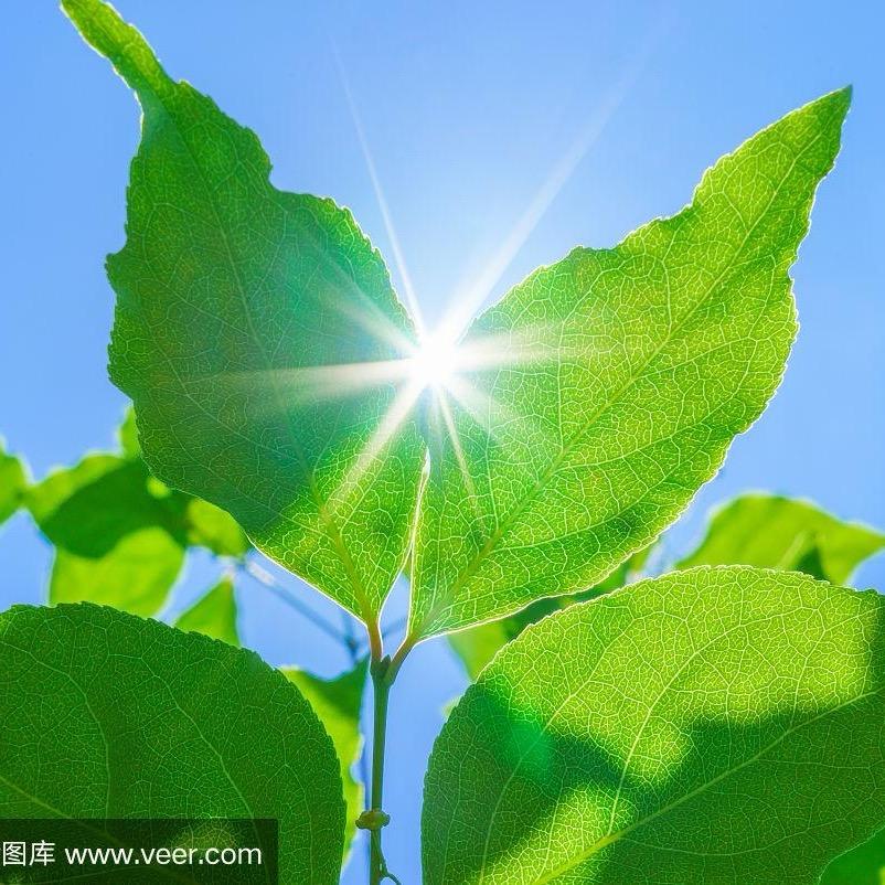 蓝天