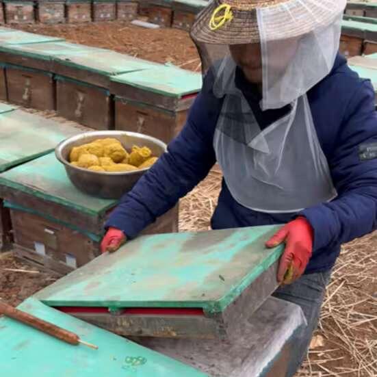 云南深山养蜂人