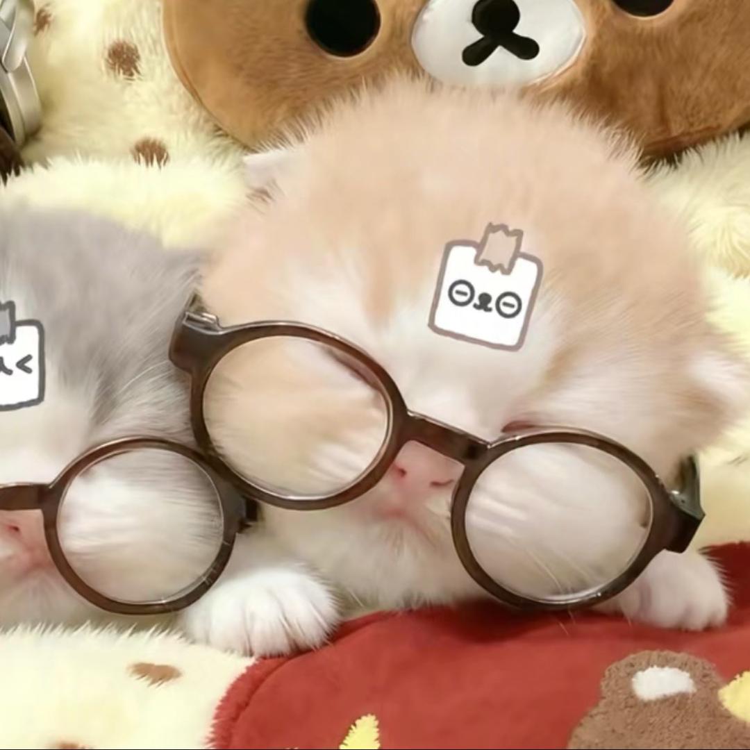 几何惊梦