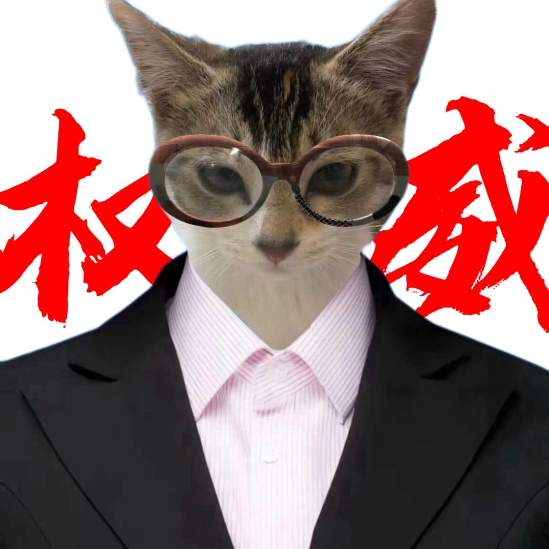 小猫老师