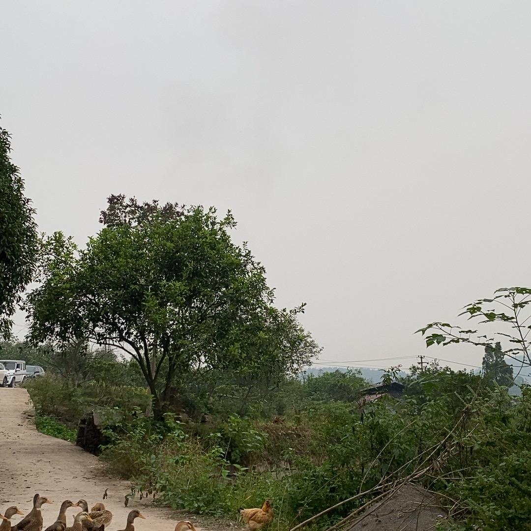 走遍中国