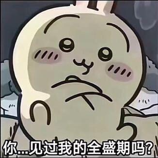 传说中的天才T0电竞