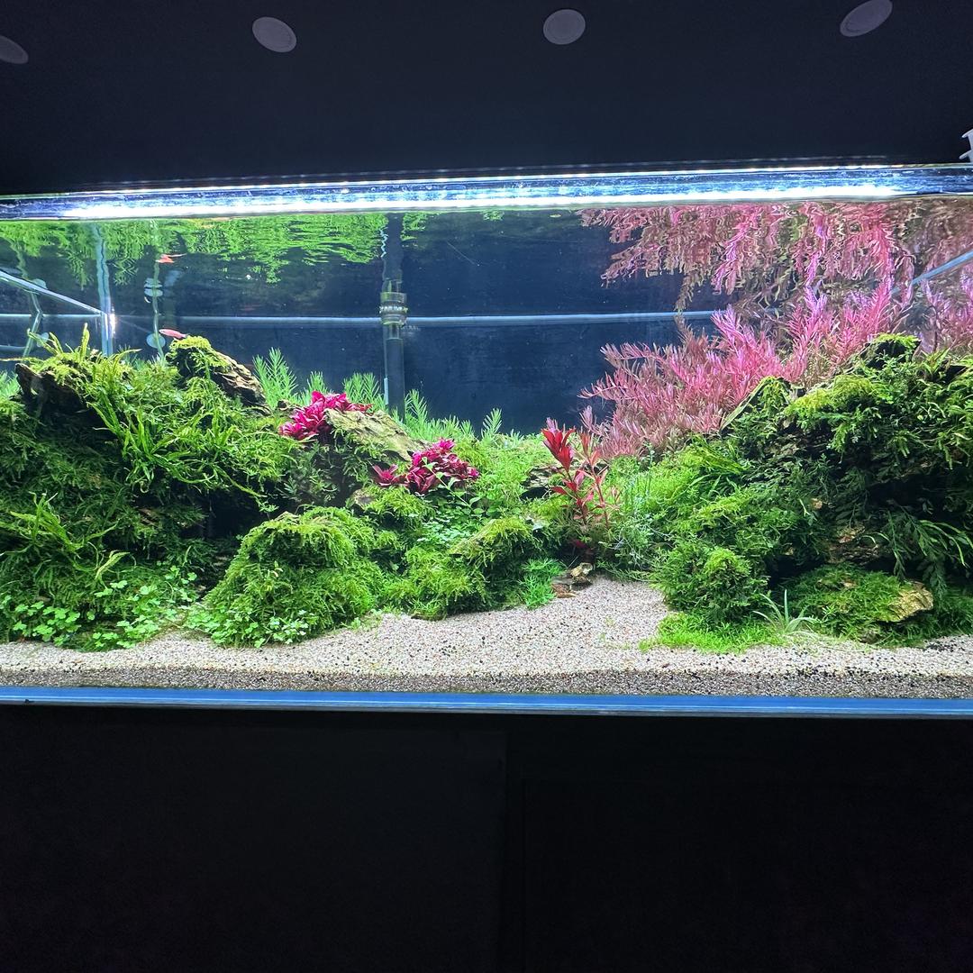 悠然水草商铺
