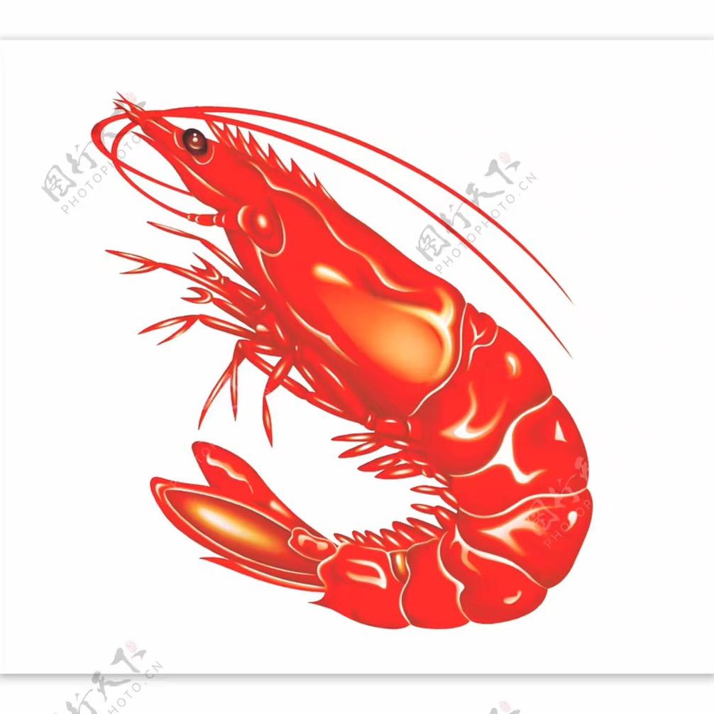 光头强卖鱼