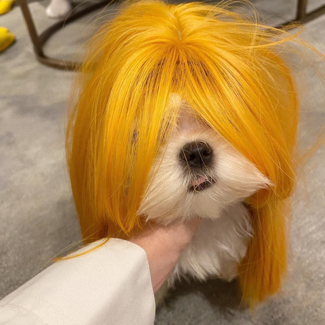 米子酱
