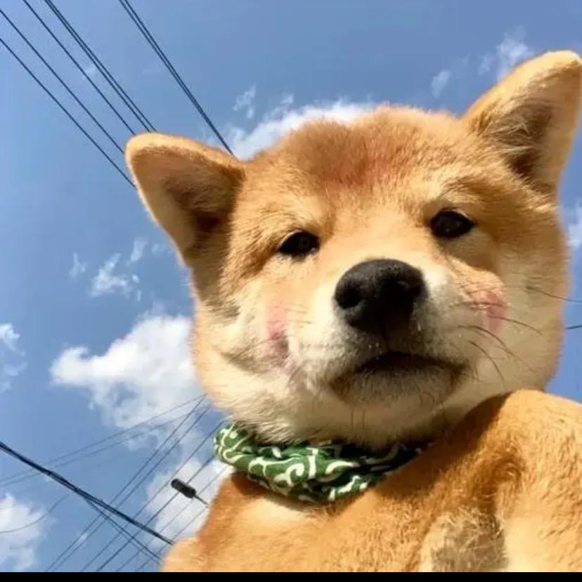 一二三56八九十