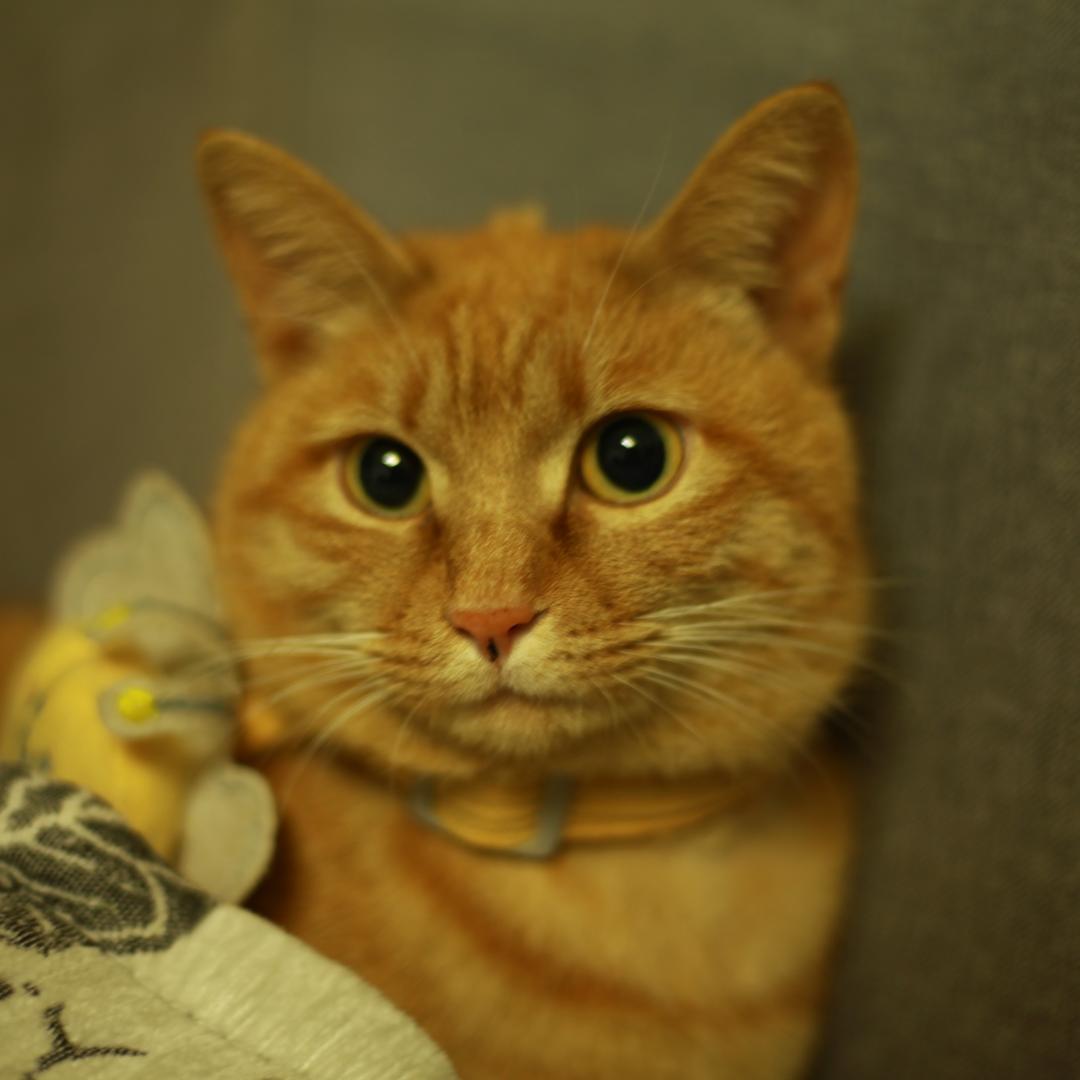 大早上别逼我扇你