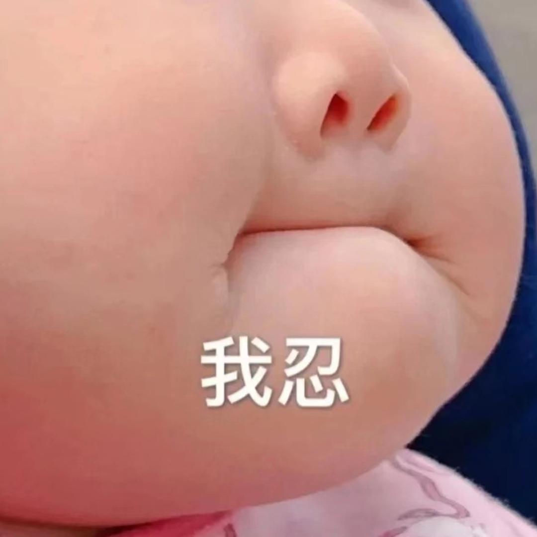 肥宅的猫