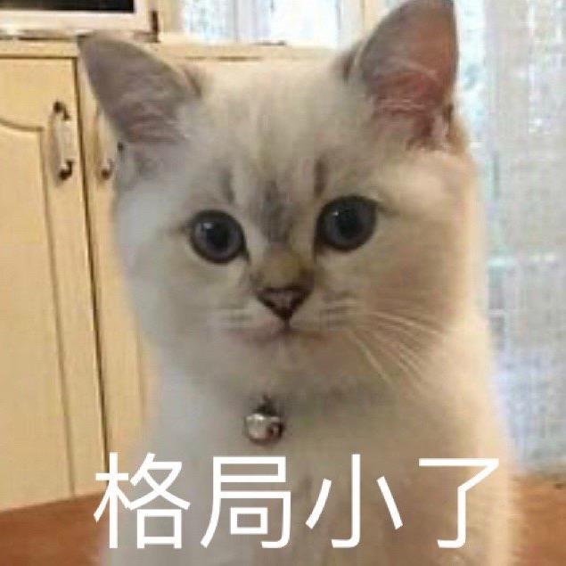 姓陈的小美妞