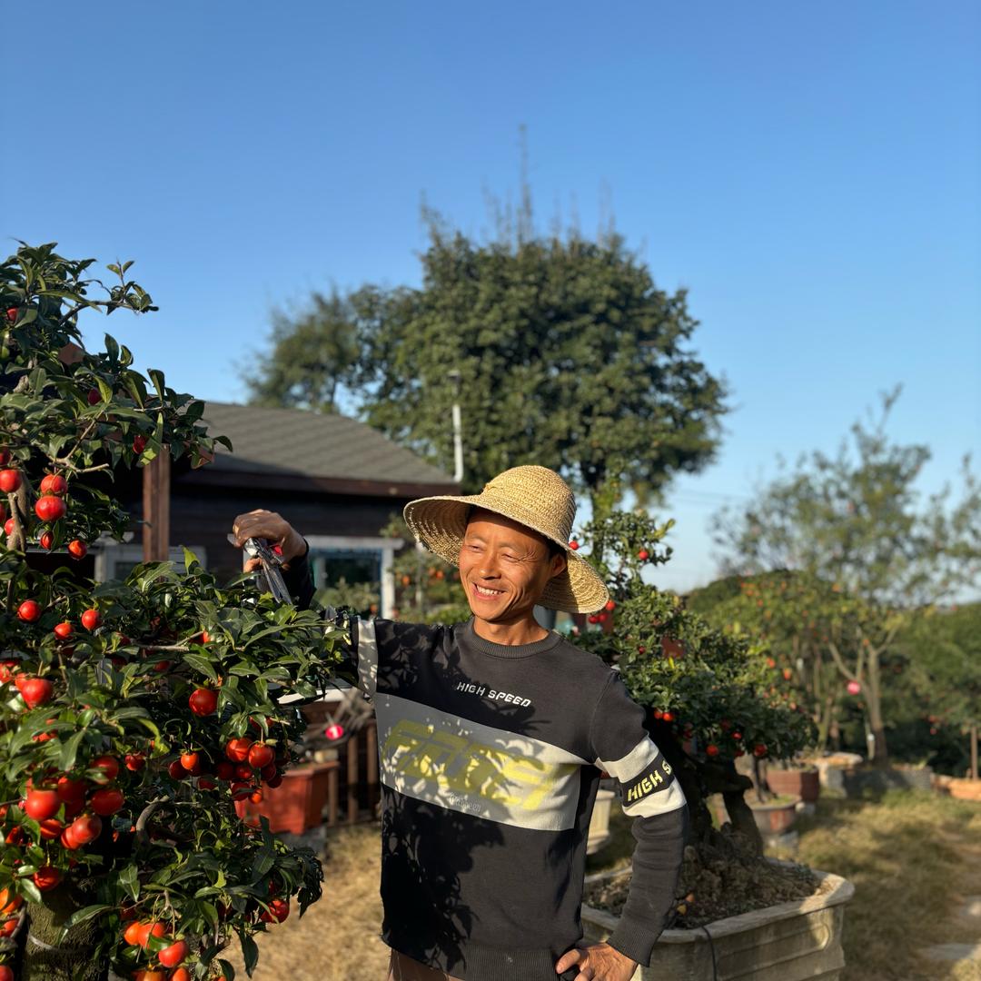 草帽哥🎩说金弹子