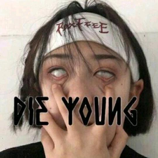 卧龙的卧铺-争霸三国