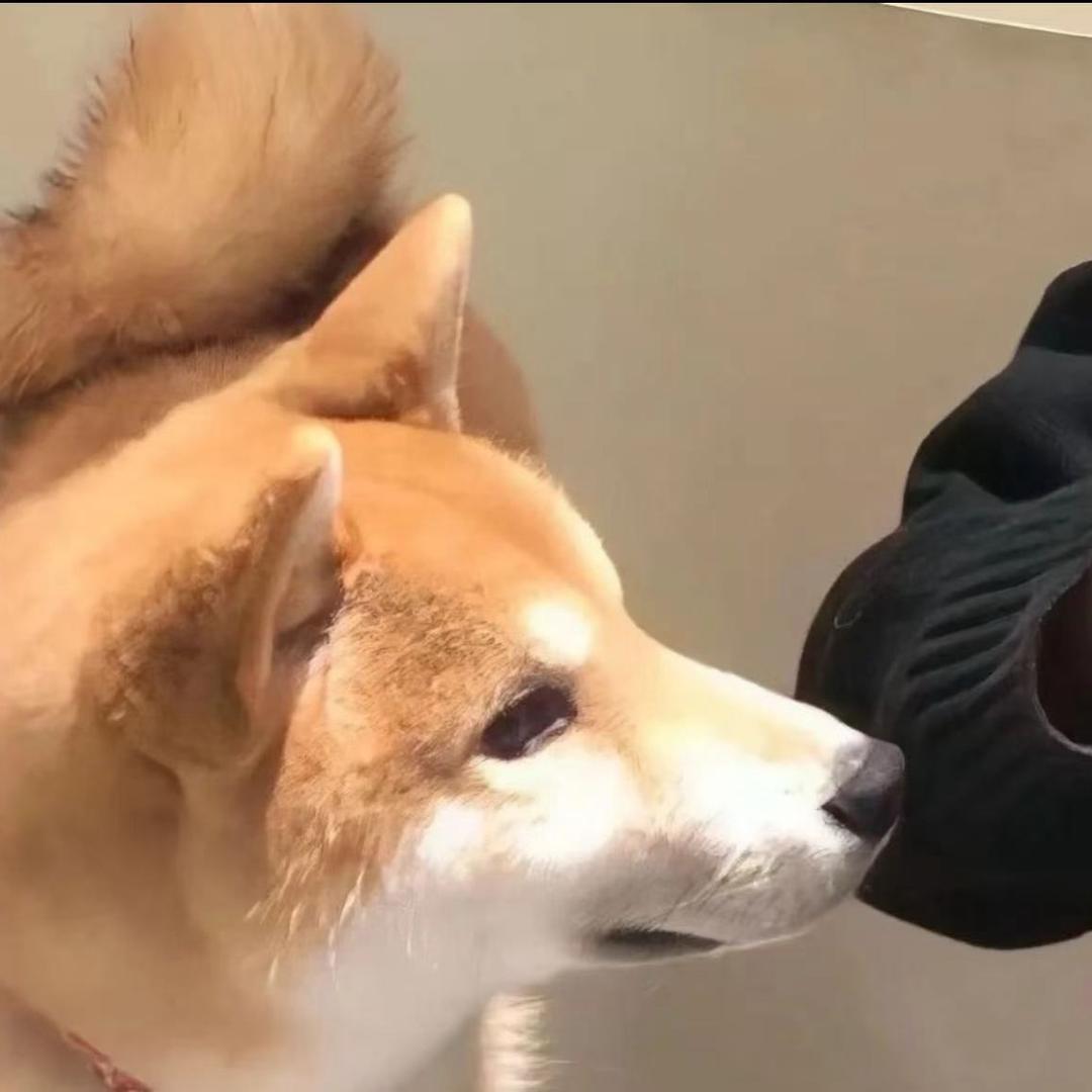 俊