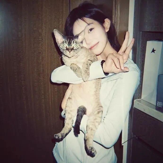 愤怒的西兰花