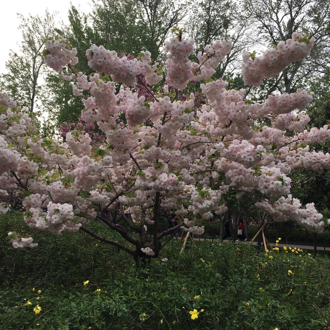 悠悠水