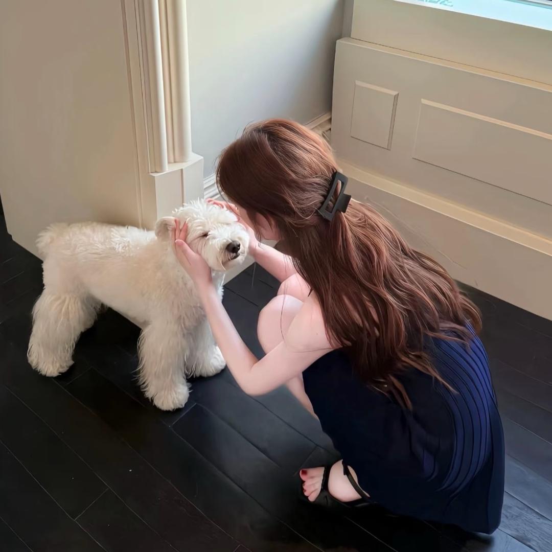 我是屌丝我知道啊