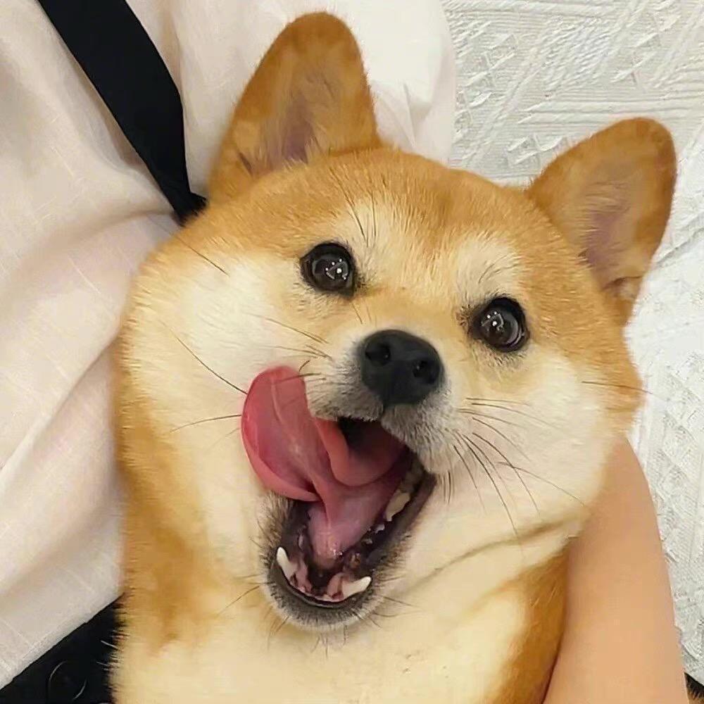 南来