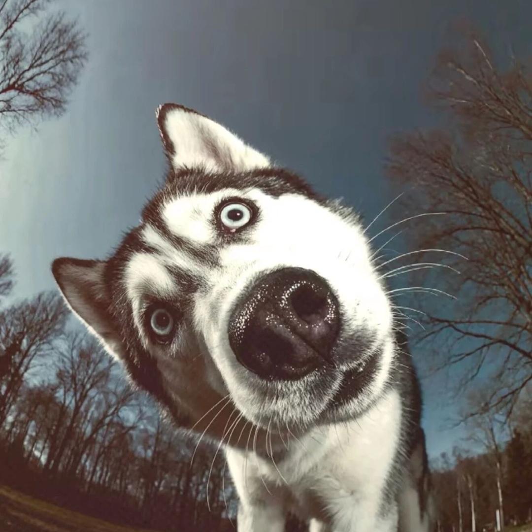 木木木木木木木木木