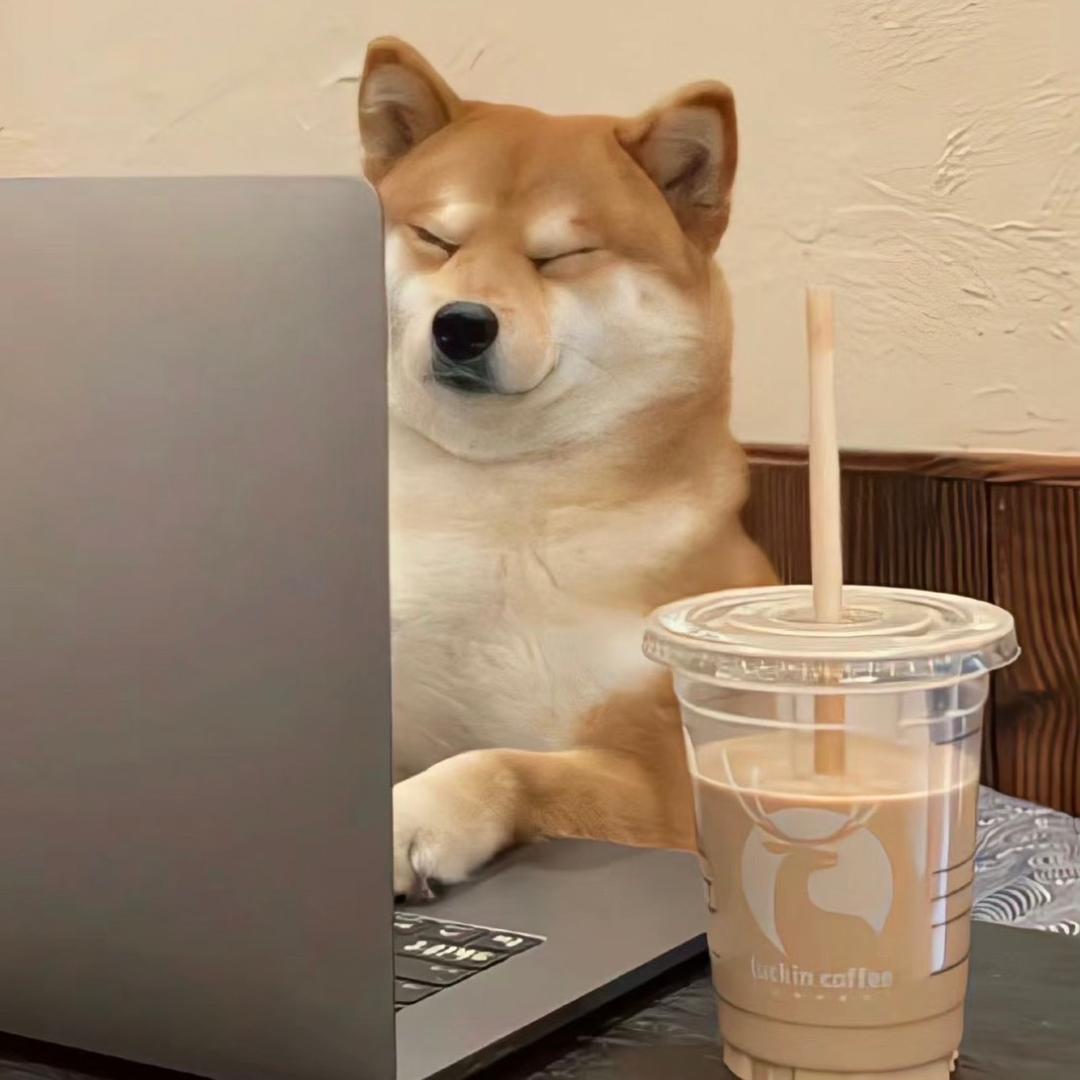 wangWANG王