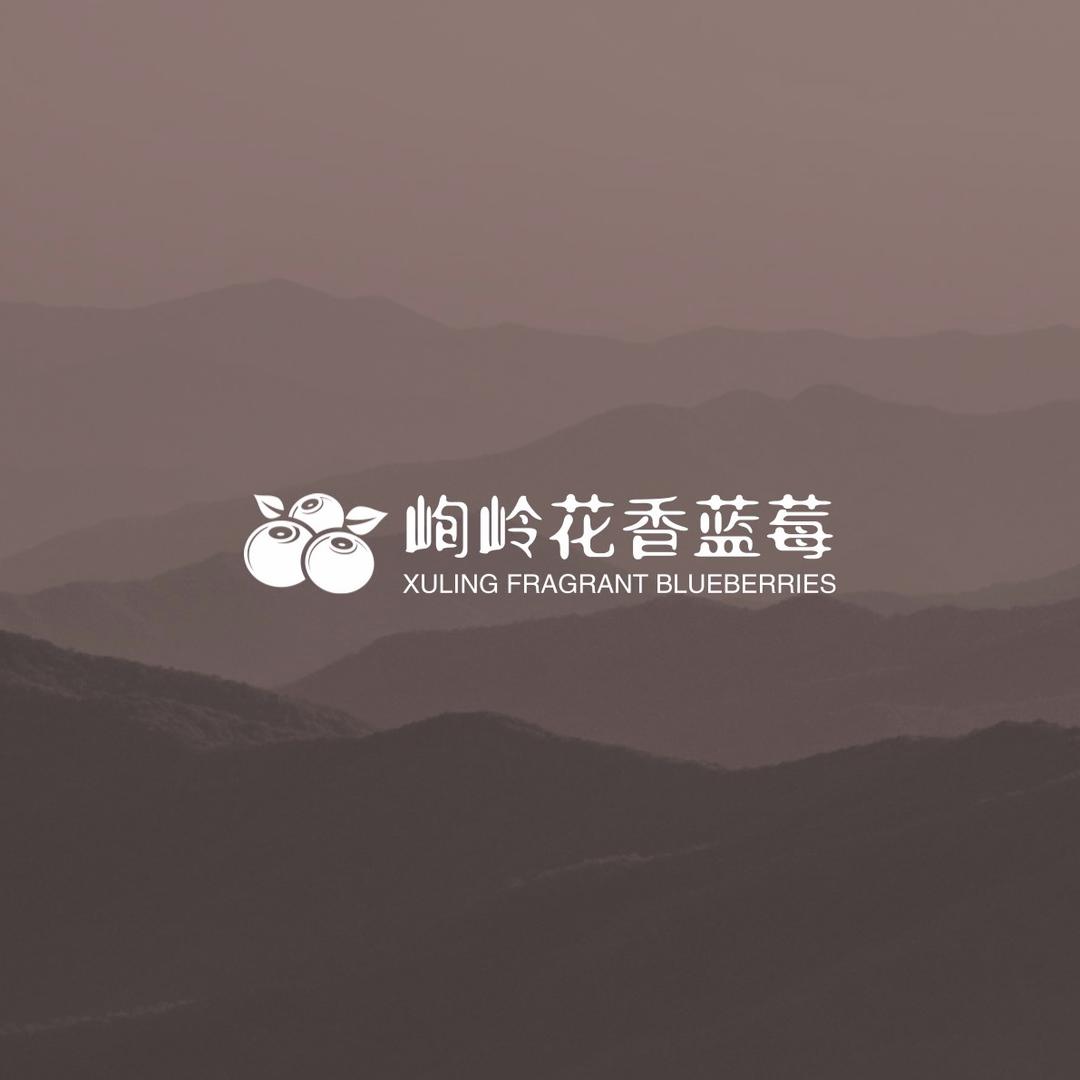 云南花香蓝莓L25