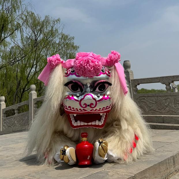 兄弟舞狮（专业小白狮）