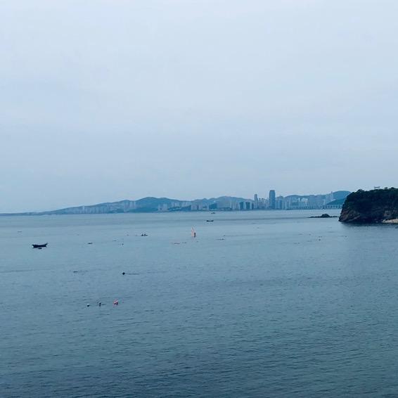 海胆妹妹呀
