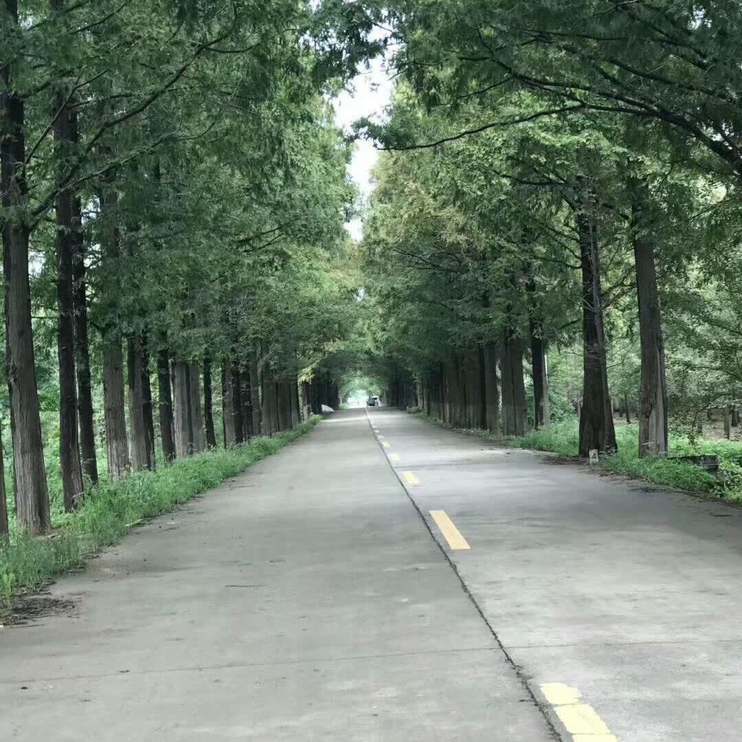 我爱我家