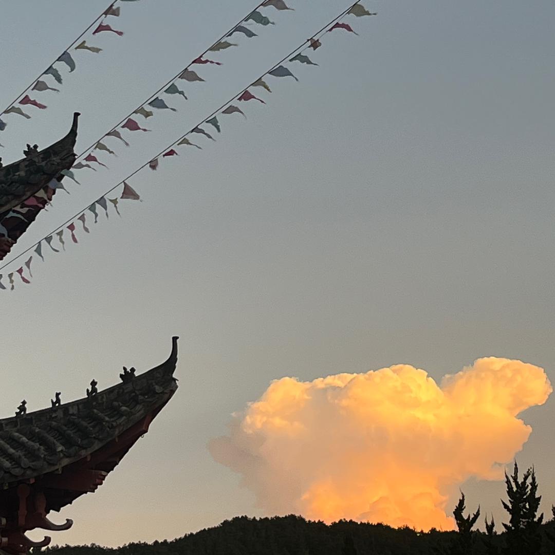 西红柿不红