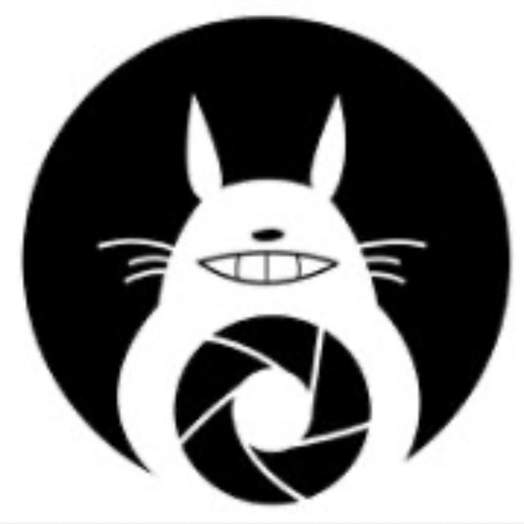 totoro龙猫猫