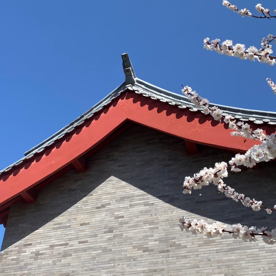 夏邑县书画院