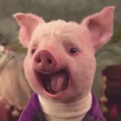 ツ箫声断丶何处莫凭栏 ╭