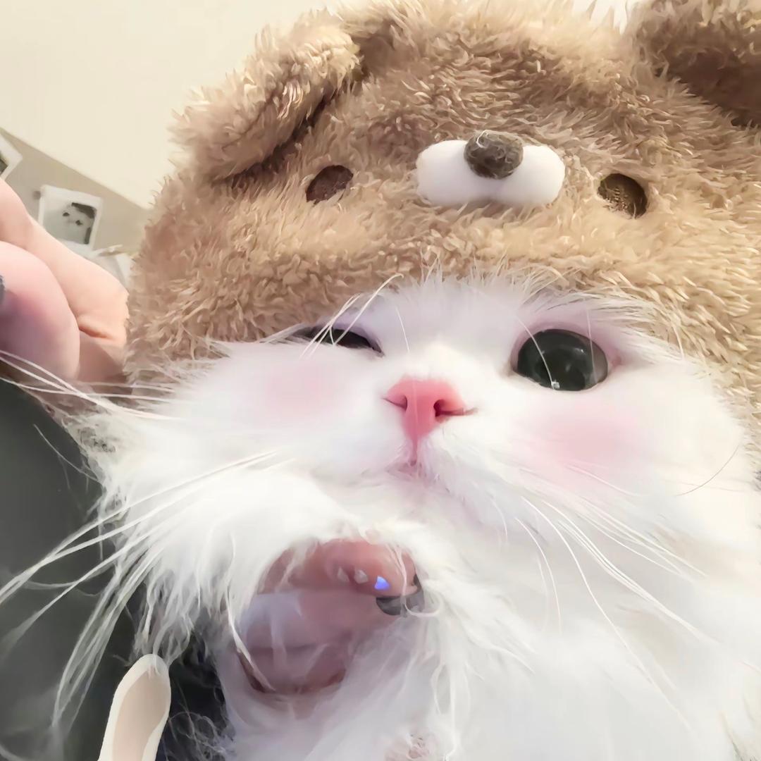 是嘉嘉嘉嘉