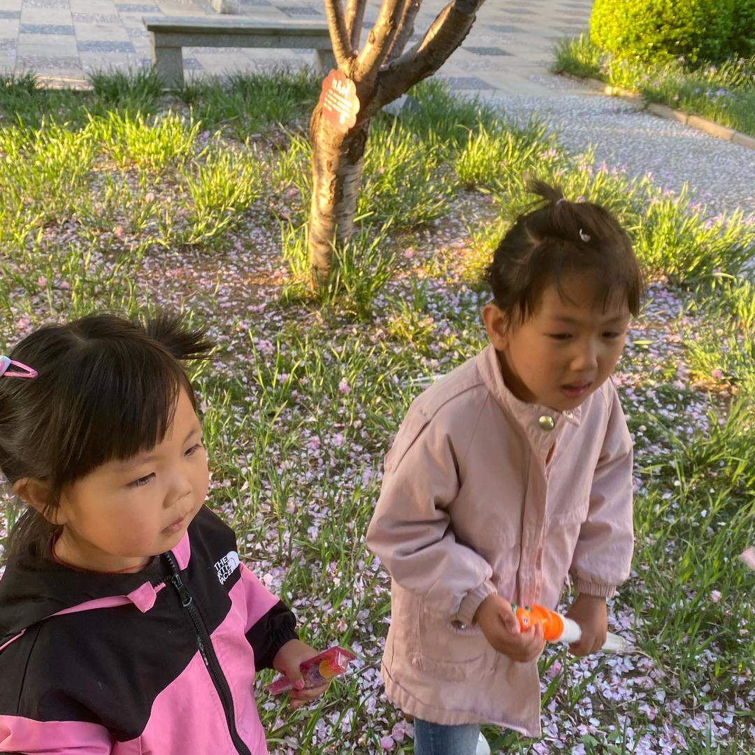 Z萱z墨🌻