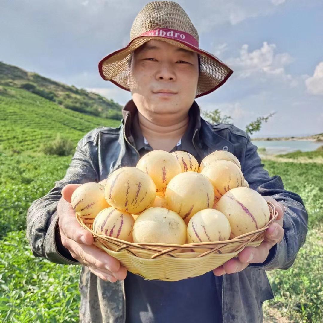 王军家人参果雪莲果