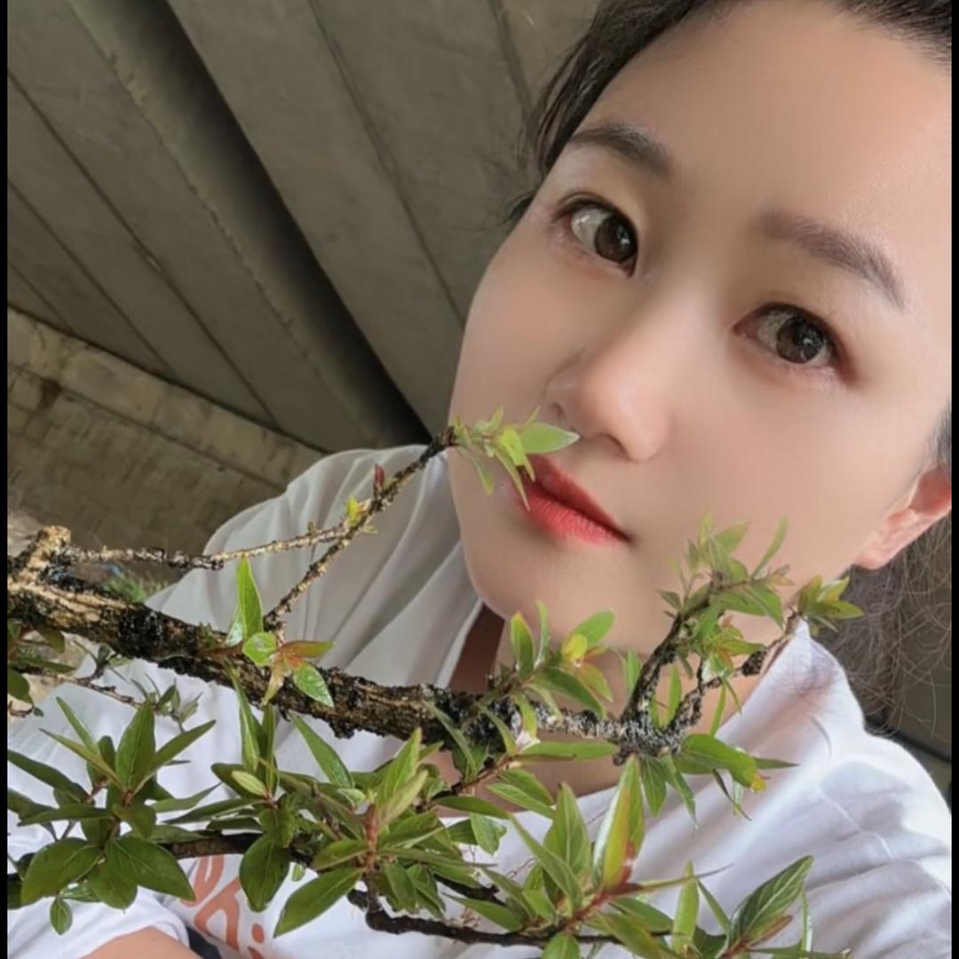 绿萌绿植店
