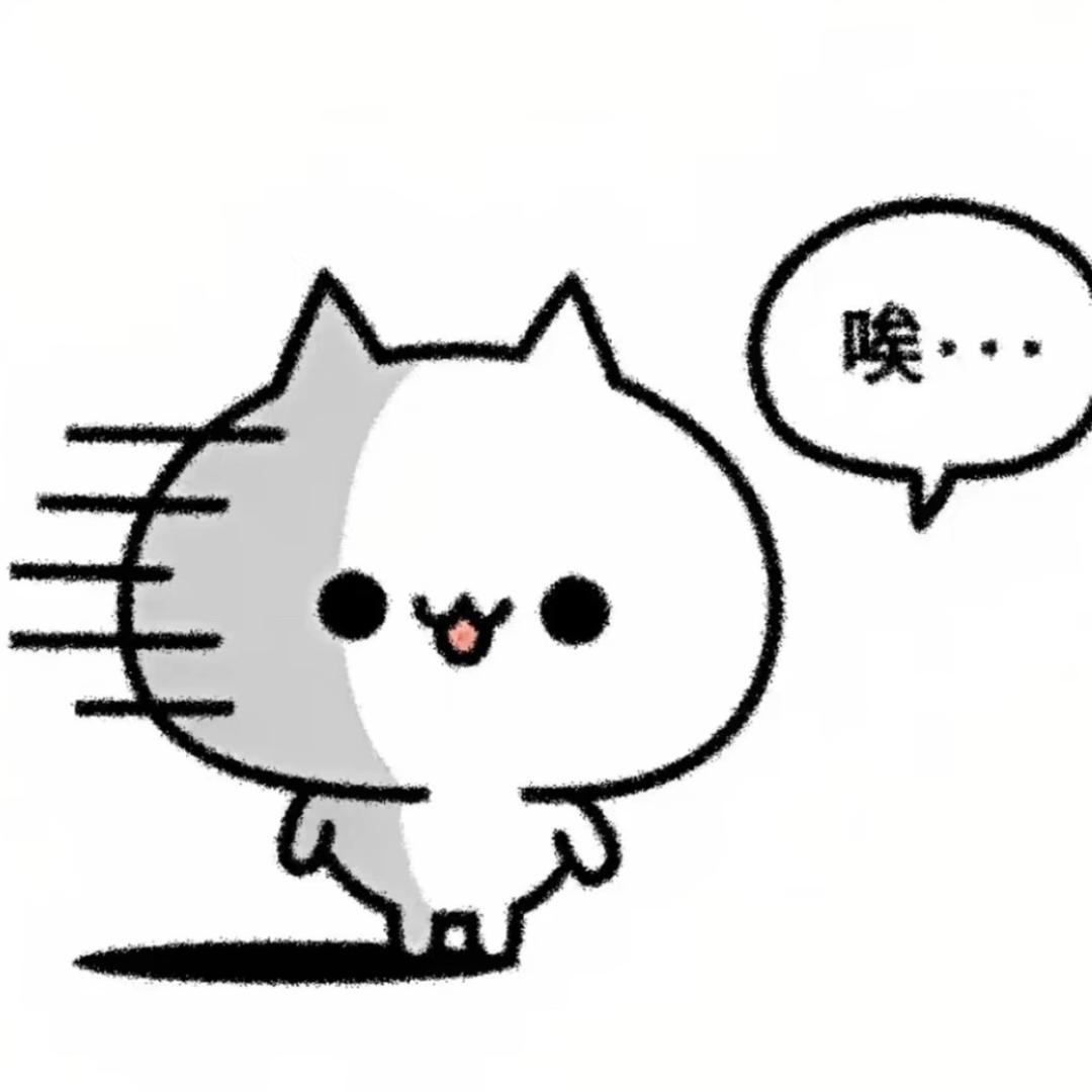 面条