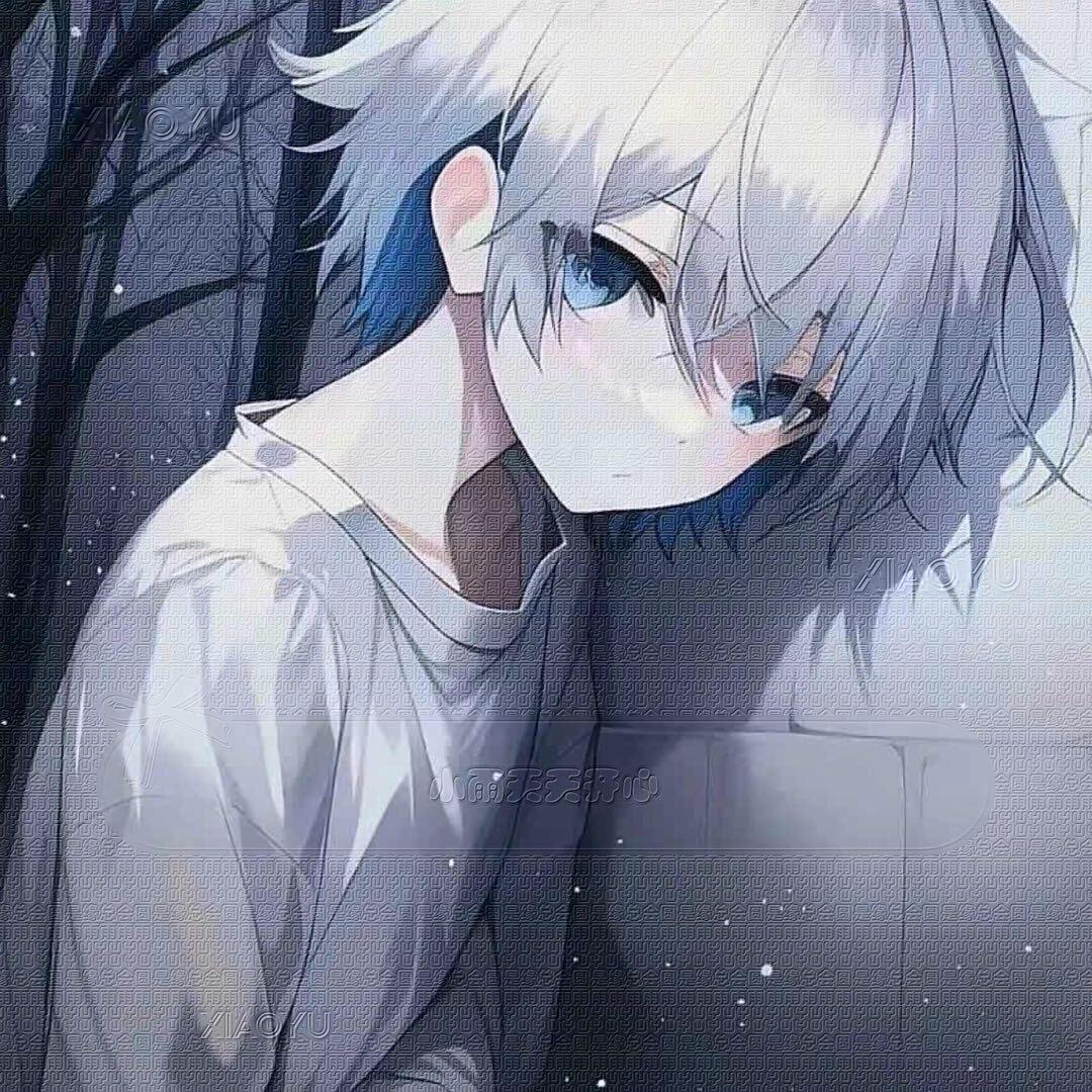 Top1.小雨