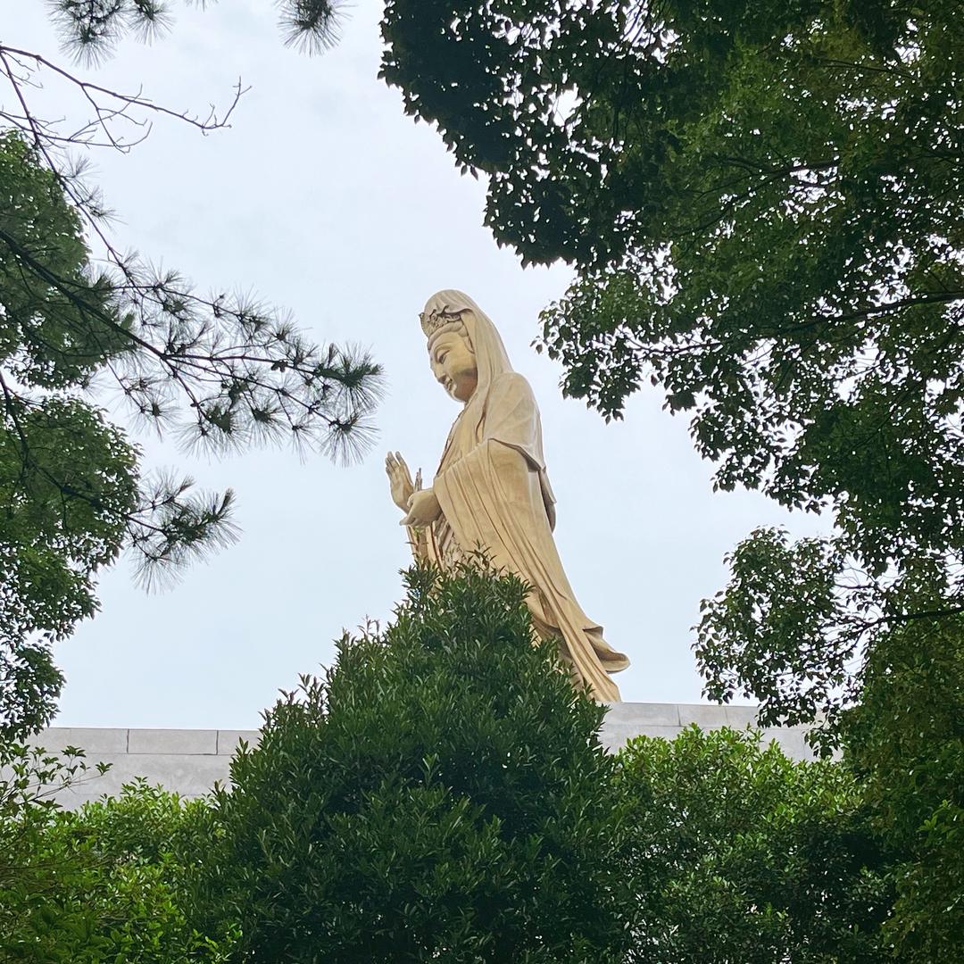小进和小早🆙