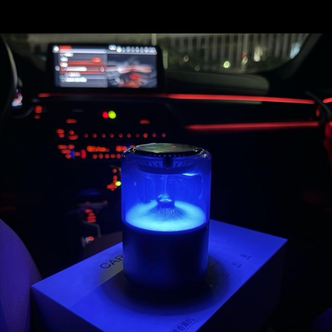 专治车味