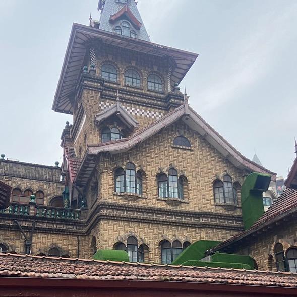 张歌/晚上19点10分直播