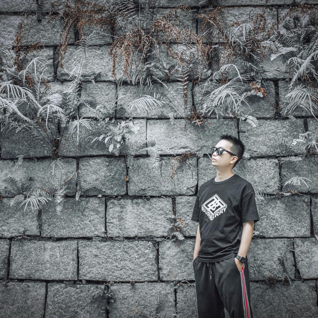 海南房中宝(老林)