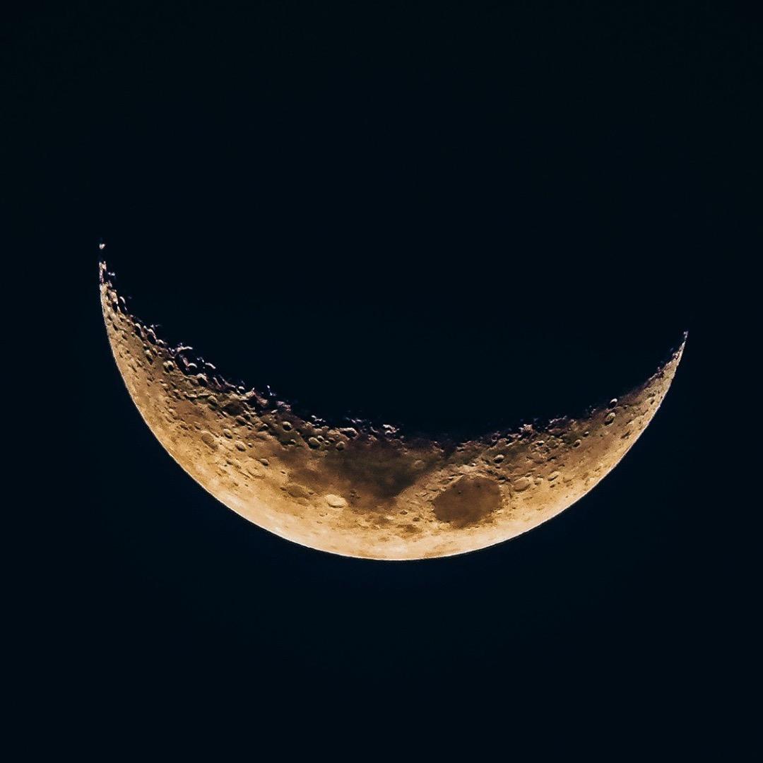 须尽歡
