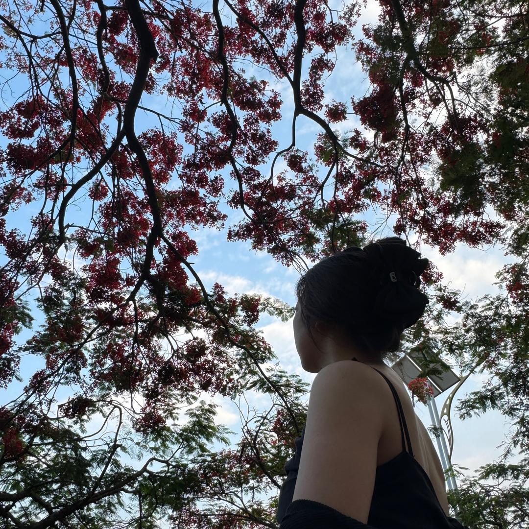 安 （橙子）🍊