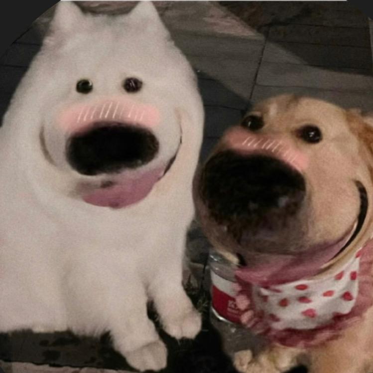 啊啊哦