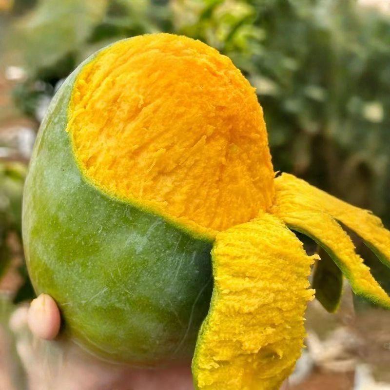 龙华果业