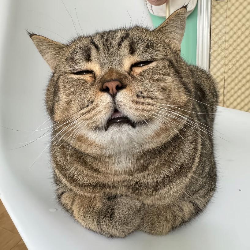 zZz