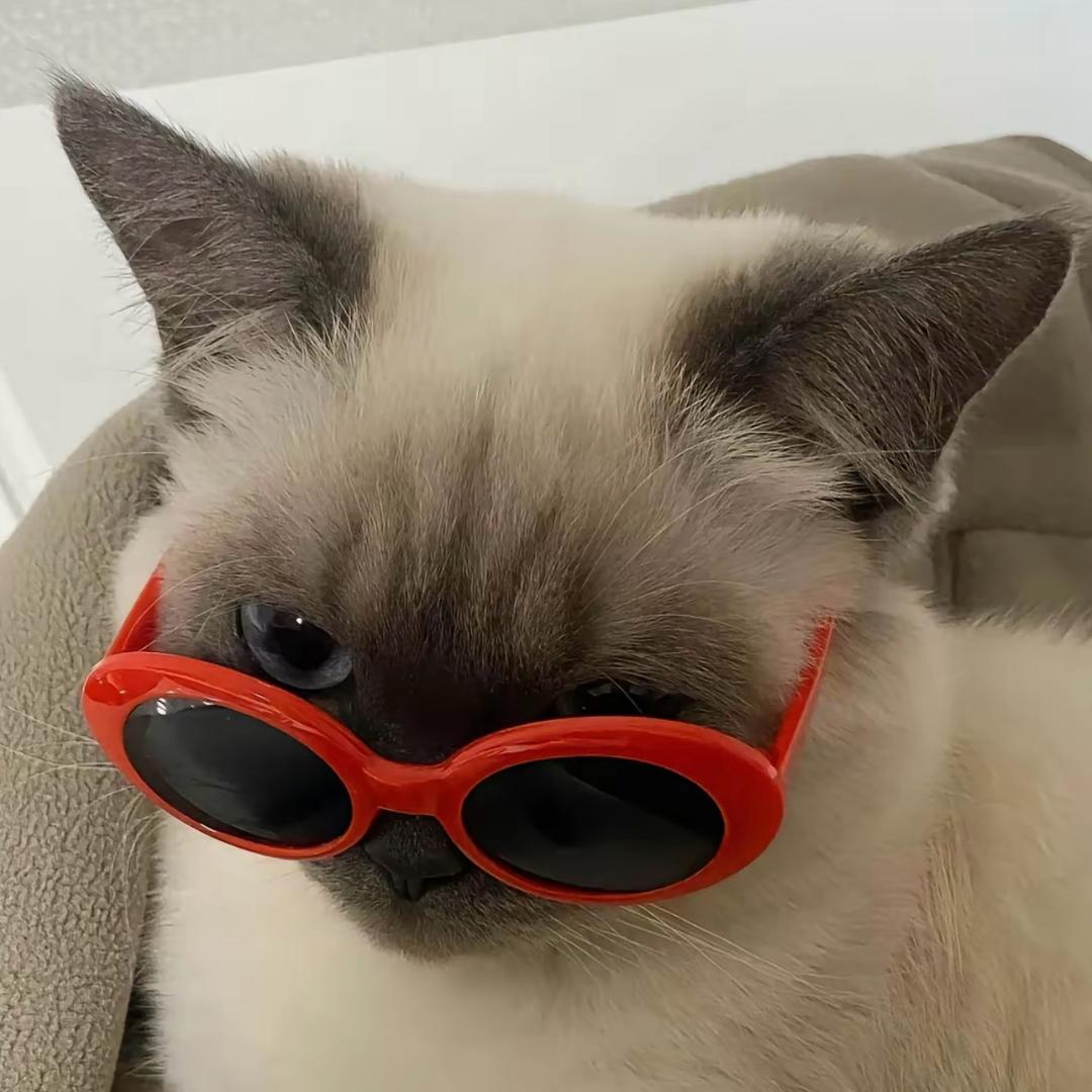 🌋