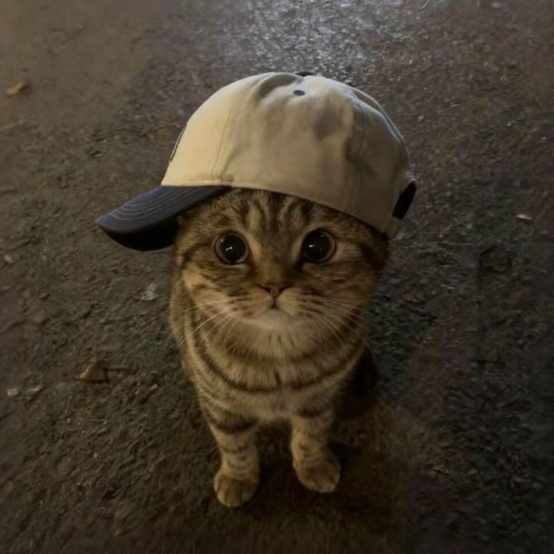 听我说.