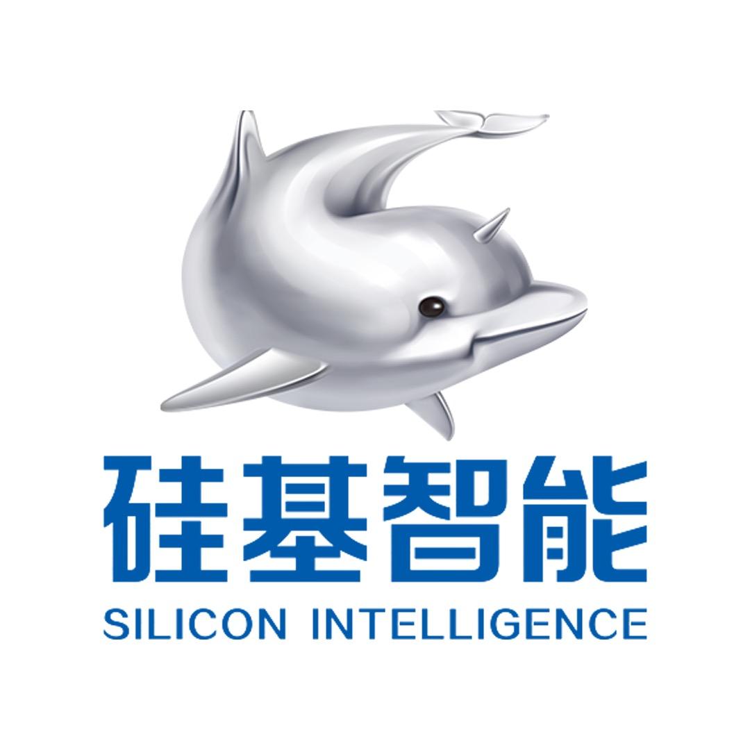 合肥硅基智能