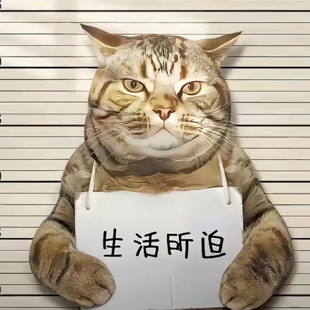 自由之光