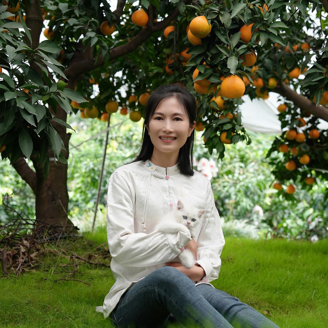 四季绿乡